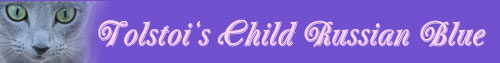 Banner 500x63