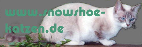 snowshoe