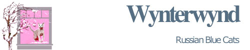 wynterwynd