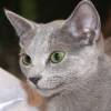 c5IMG_7553