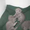 kitten_2004c_02